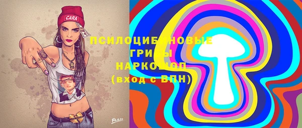 Альфа ПВП Аркадак