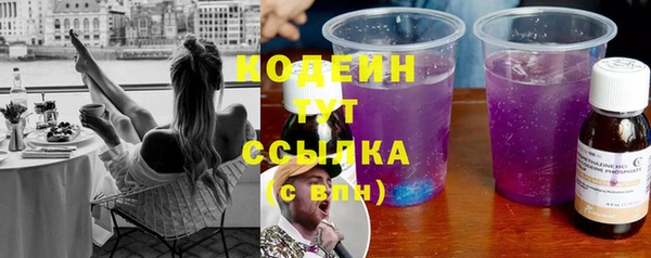 ГАЛЛЮЦИНОГЕННЫЕ ГРИБЫ Рославль