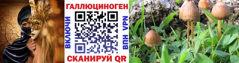 маркетплейс формула kraken онион Выкса Псилоцибиновые грибы Psilocybine cubensis