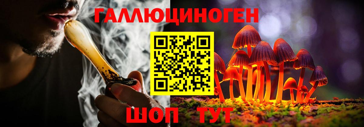 Псилоцибиновые грибы GOLDEN TEACHER  Галлюциногенные грибы Psilocybe  Вход с VPN  Выкса 
